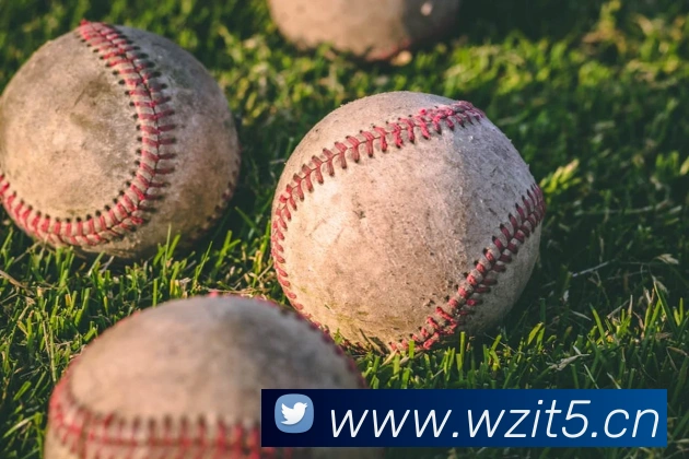 爱游戏体育最新官网服务体系